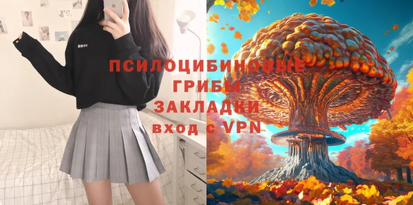 сатива Алексеевка