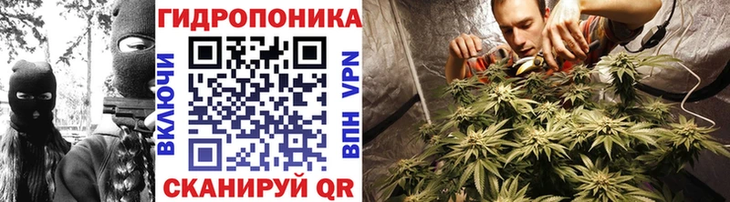 маркетплейс какой сайт  Ижевск  Конопля Amnesia  где можно купить  